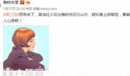 吃瓜爆料小花完整版,小花完整版事件深度解析